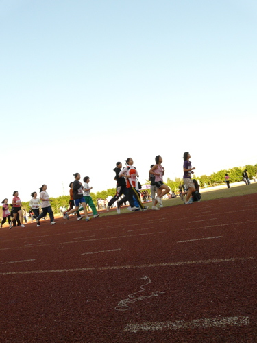 伟德bv国际体育