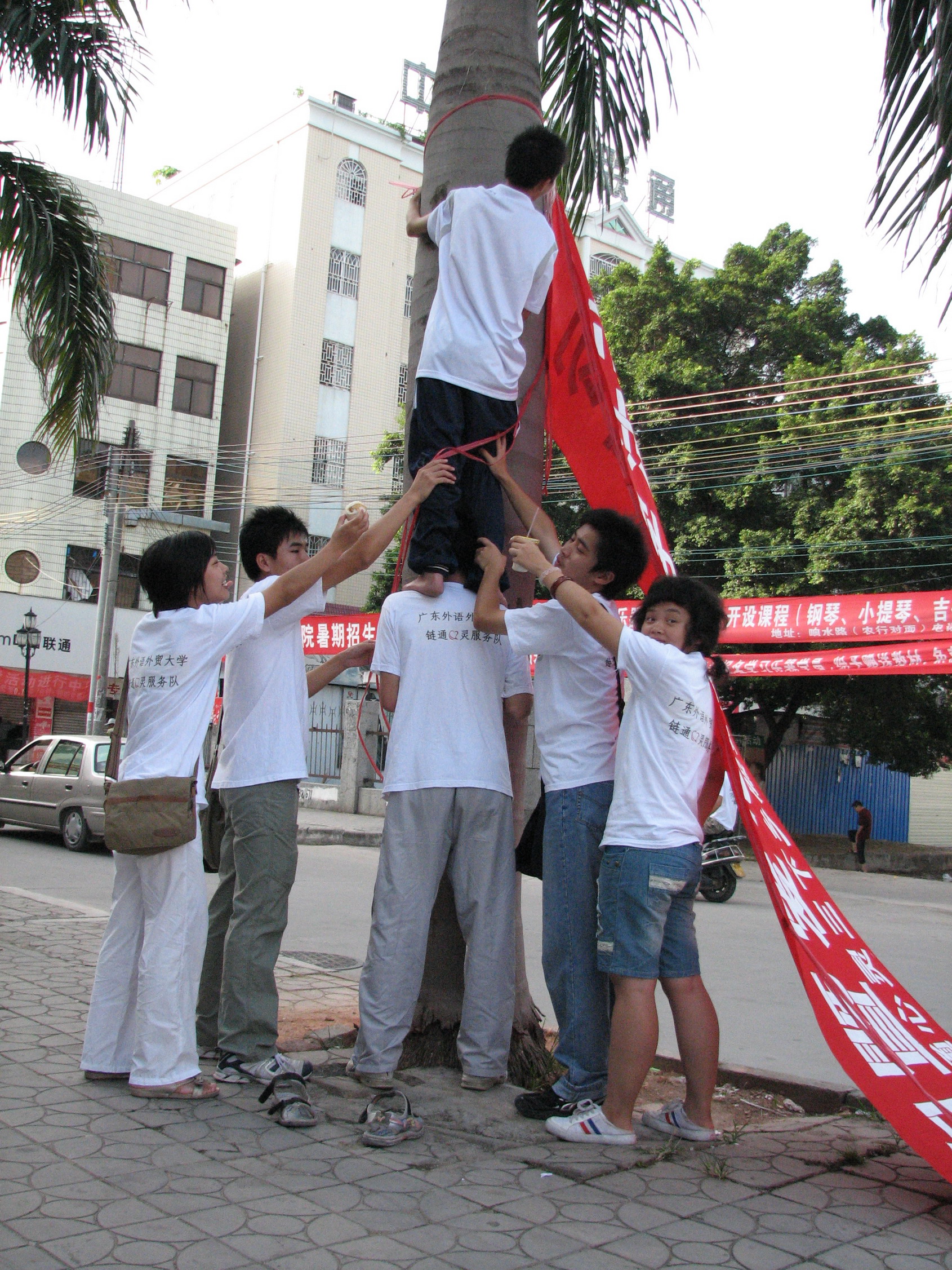 伟德bv国际体育