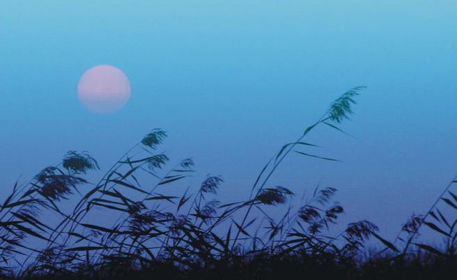 伟德bv国际体育