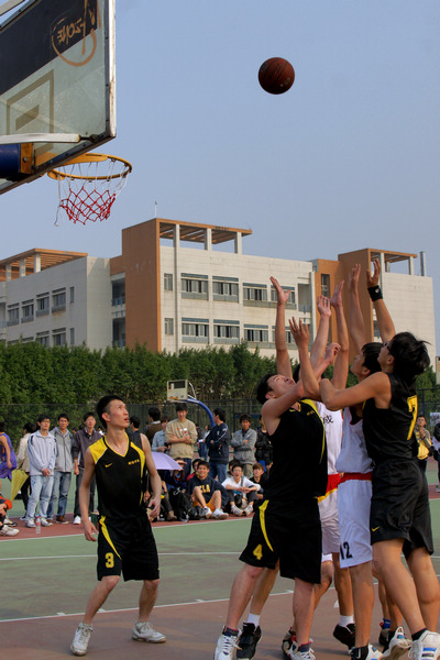 伟德bv国际体育