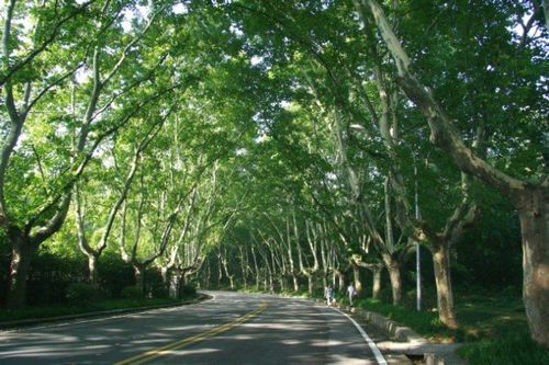 伟德bv国际体育