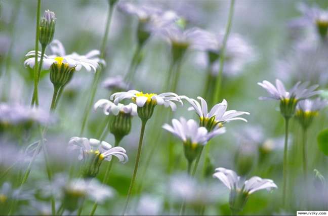 伟德bv国际体育