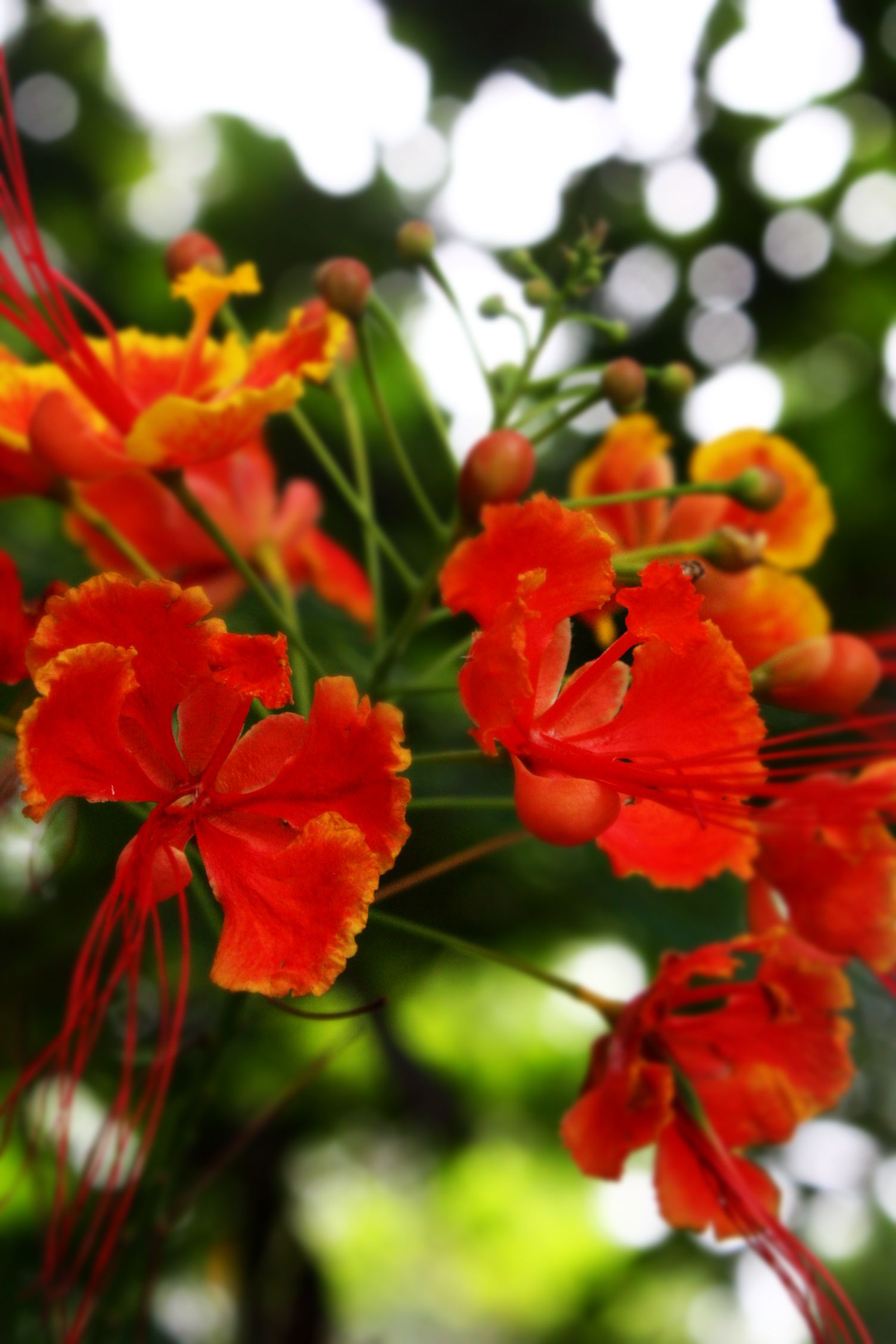 伟德bv国际体育