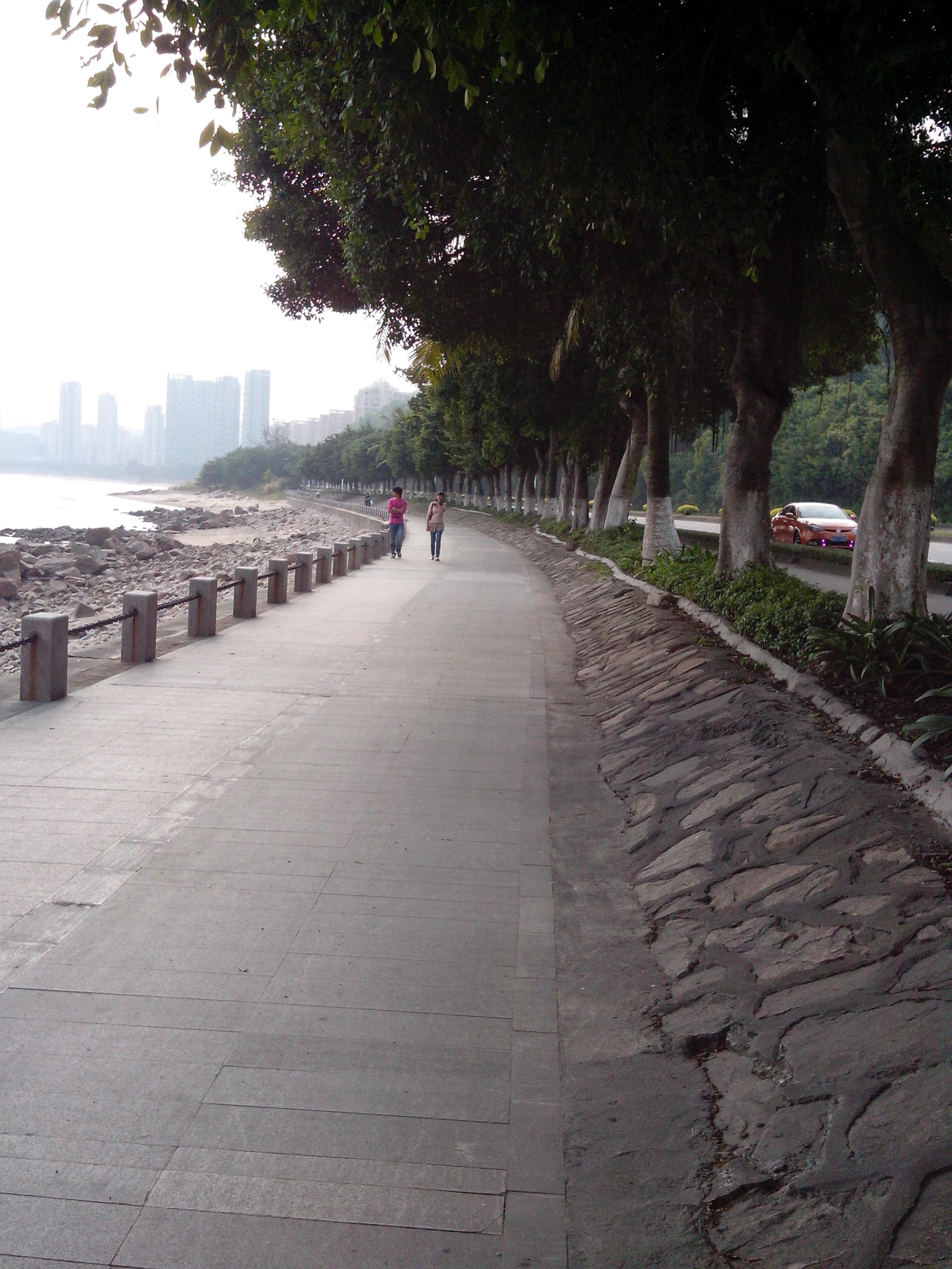 伟德bv国际体育