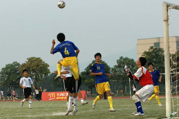 伟德bv国际体育