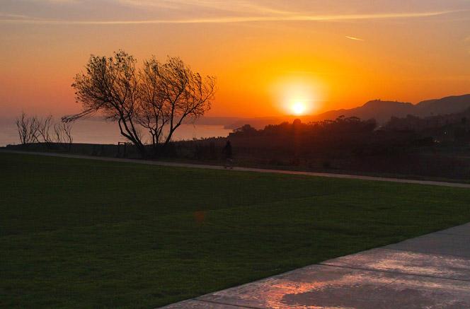 伟德bv国际体育