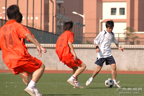 伟德bv国际体育