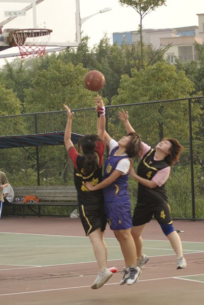 伟德bv国际体育