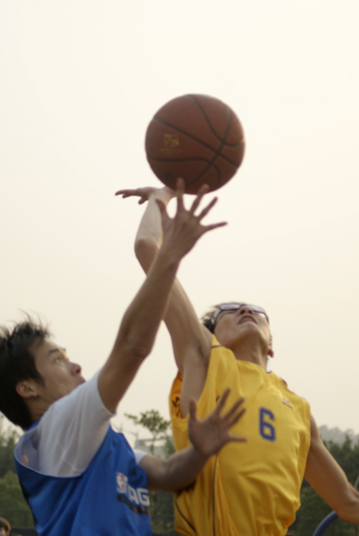 伟德bv国际体育