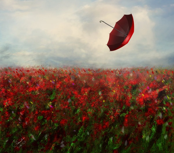 伟德bv国际体育