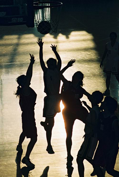 伟德bv国际体育