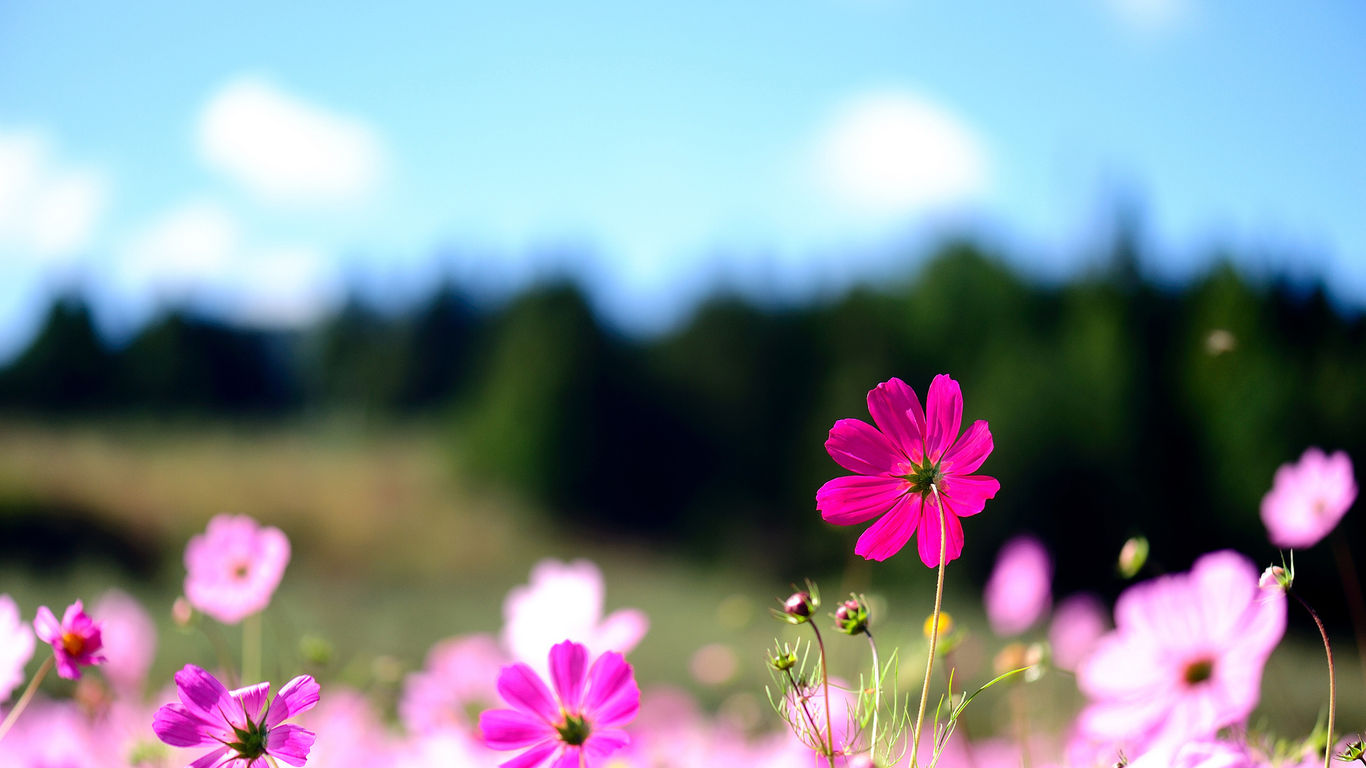 伟德bv国际体育