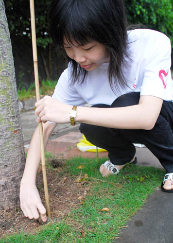 伟德bv国际体育