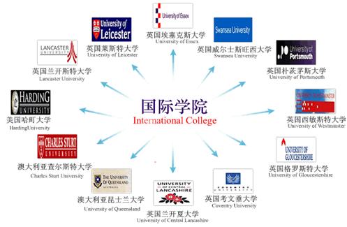 伟德bv国际体育