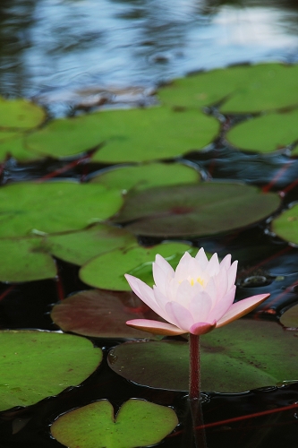 伟德bv国际体育