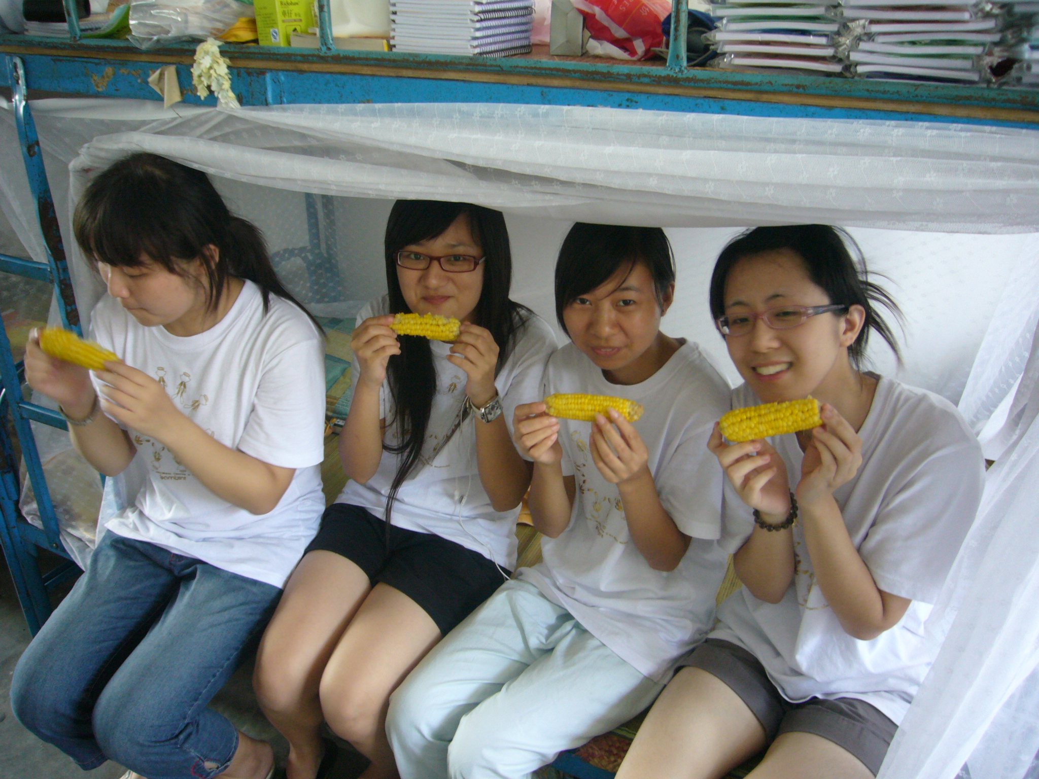 伟德bv国际体育