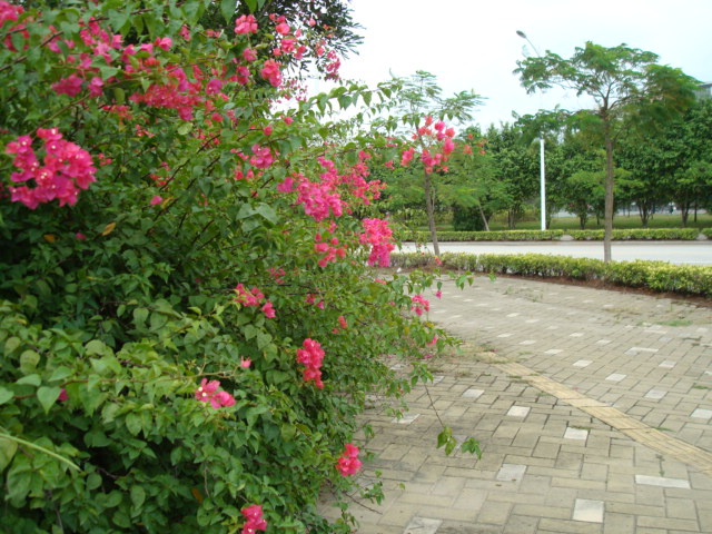 伟德bv国际体育