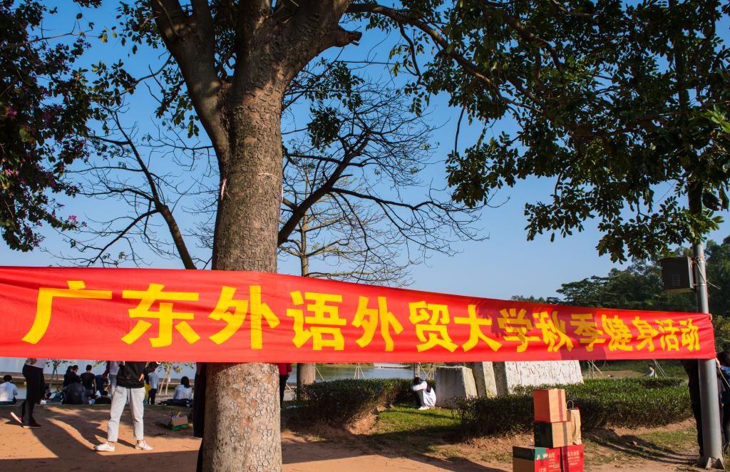 伟德bv国际体育