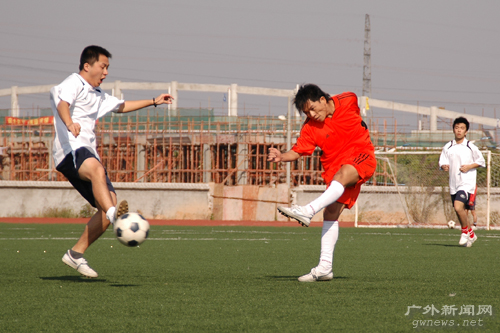 伟德bv国际体育