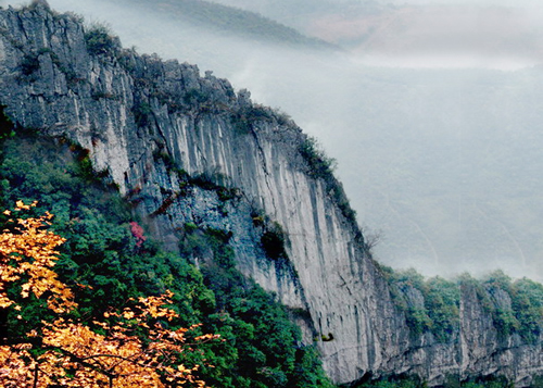 伟德bv国际体育