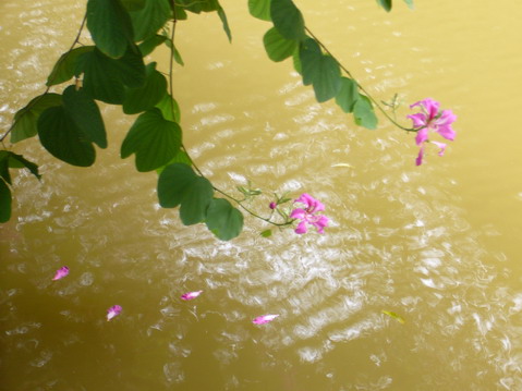 伟德bv国际体育