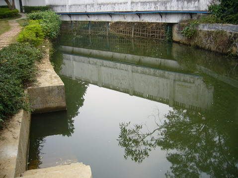 伟德bv国际体育