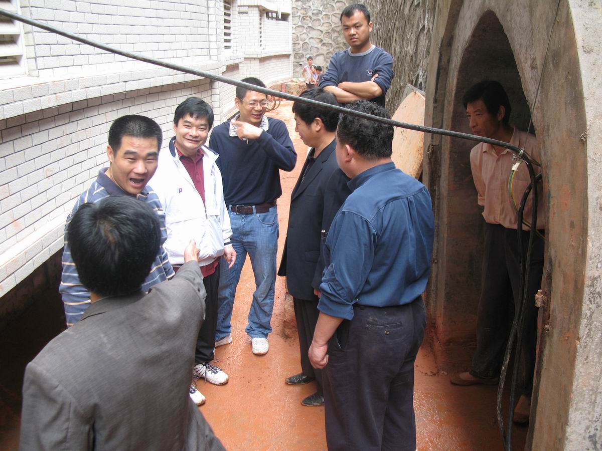 伟德bv国际体育