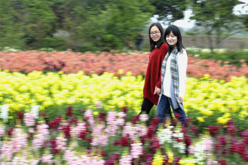 伟德bv国际体育