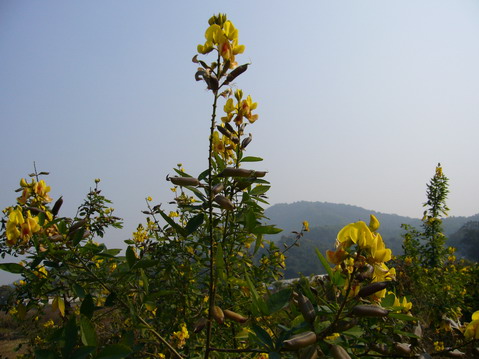 伟德bv国际体育