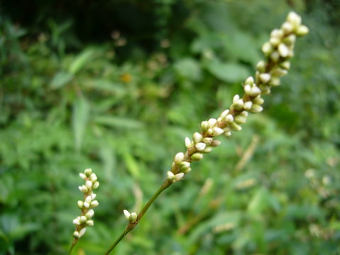 伟德bv国际体育