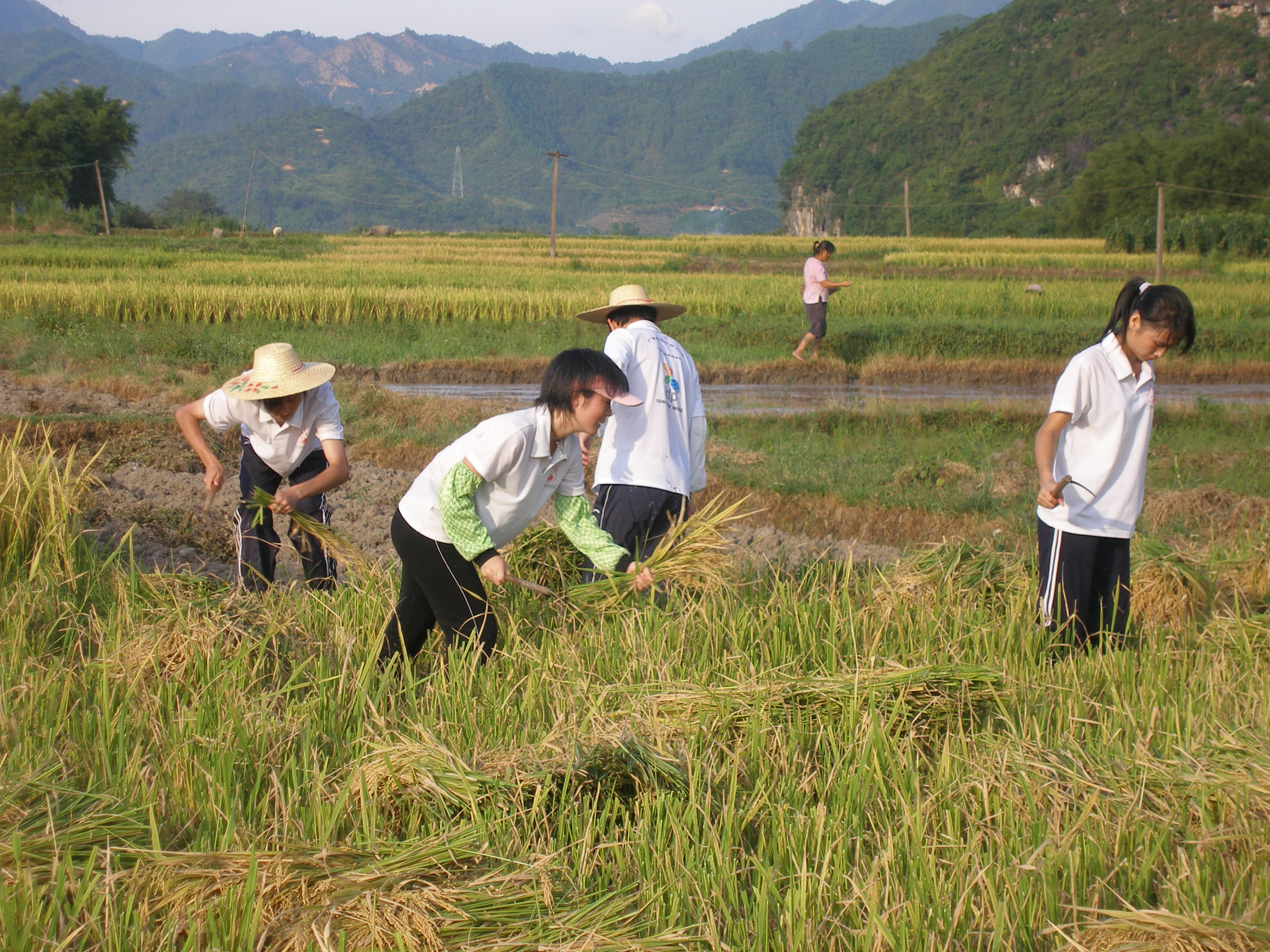 伟德bv国际体育