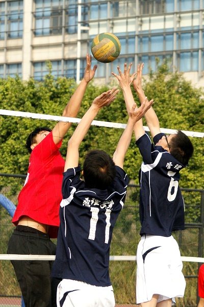 伟德bv国际体育