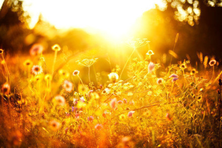 伟德bv国际体育