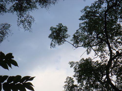 伟德bv国际体育