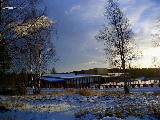 伟德bv国际体育