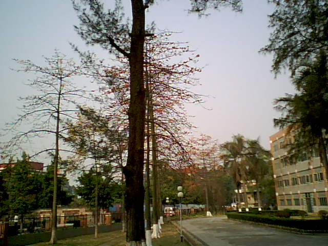 伟德bv国际体育