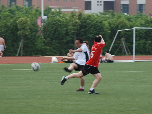 伟德bv国际体育