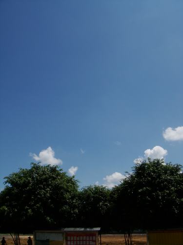 伟德bv国际体育