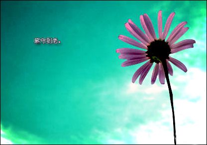 伟德bv国际体育