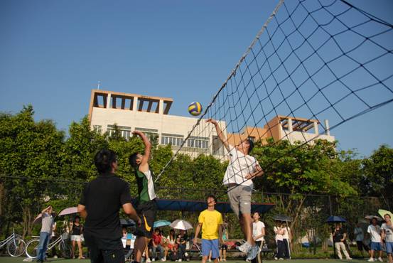 伟德bv国际体育