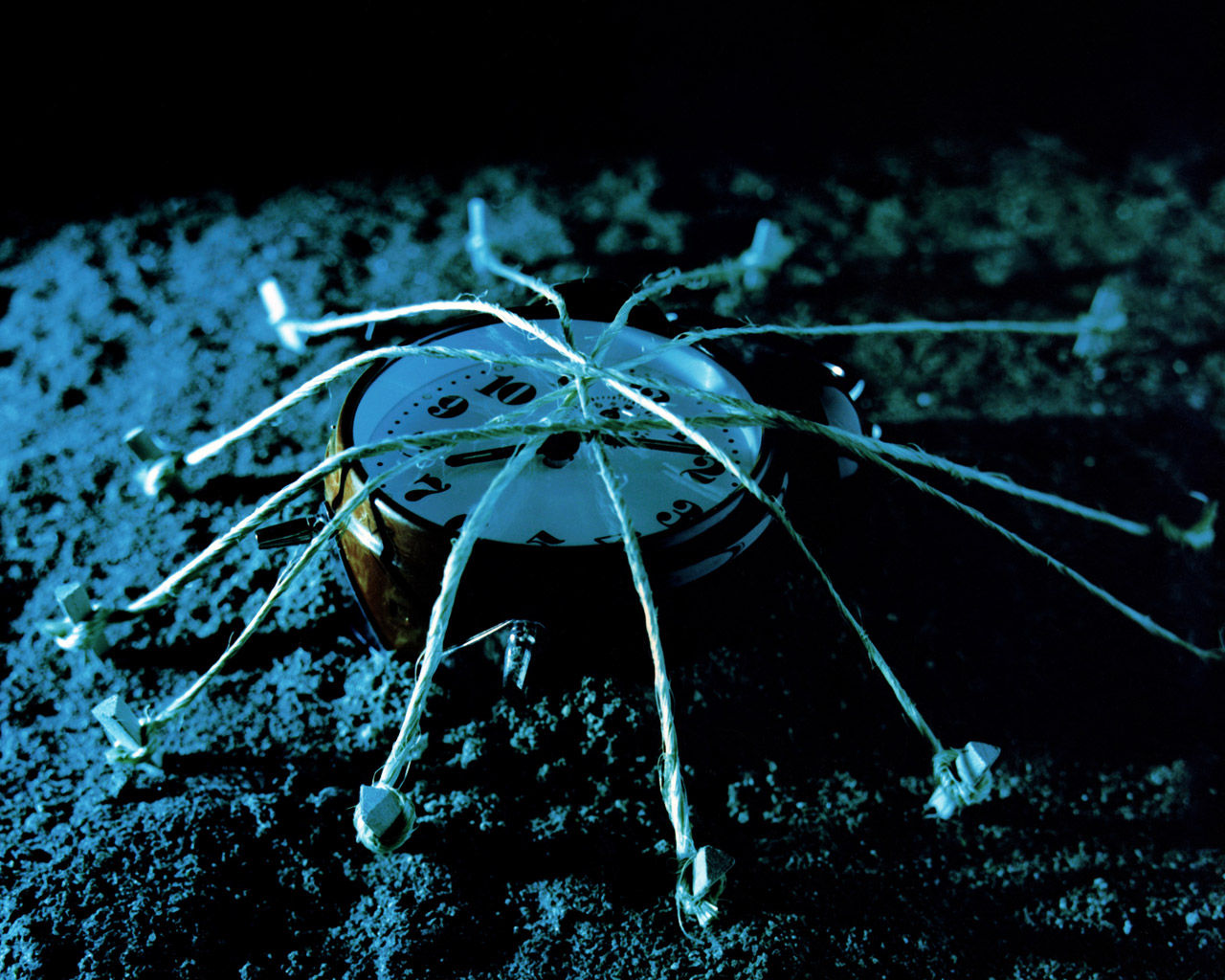 伟德bv国际体育