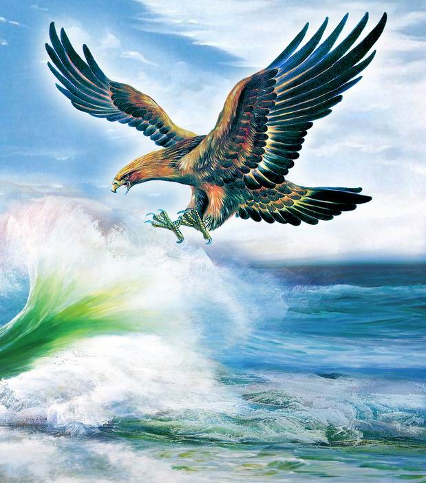 伟德bv国际体育