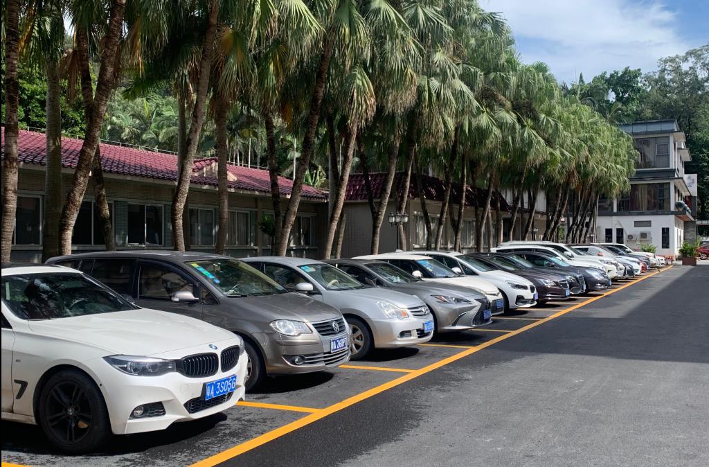 伟德bv国际体育