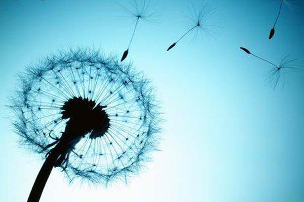 伟德bv国际体育