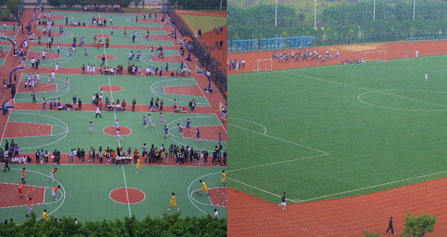 伟德bv国际体育