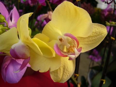 伟德bv国际体育