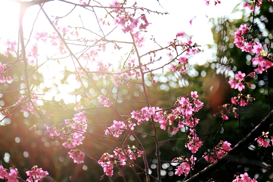 伟德bv国际体育