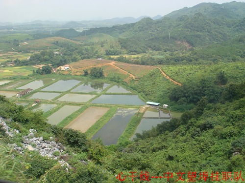 伟德bv国际体育