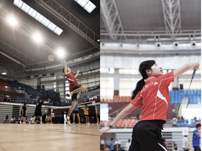 伟德bv国际体育