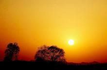 伟德bv国际体育